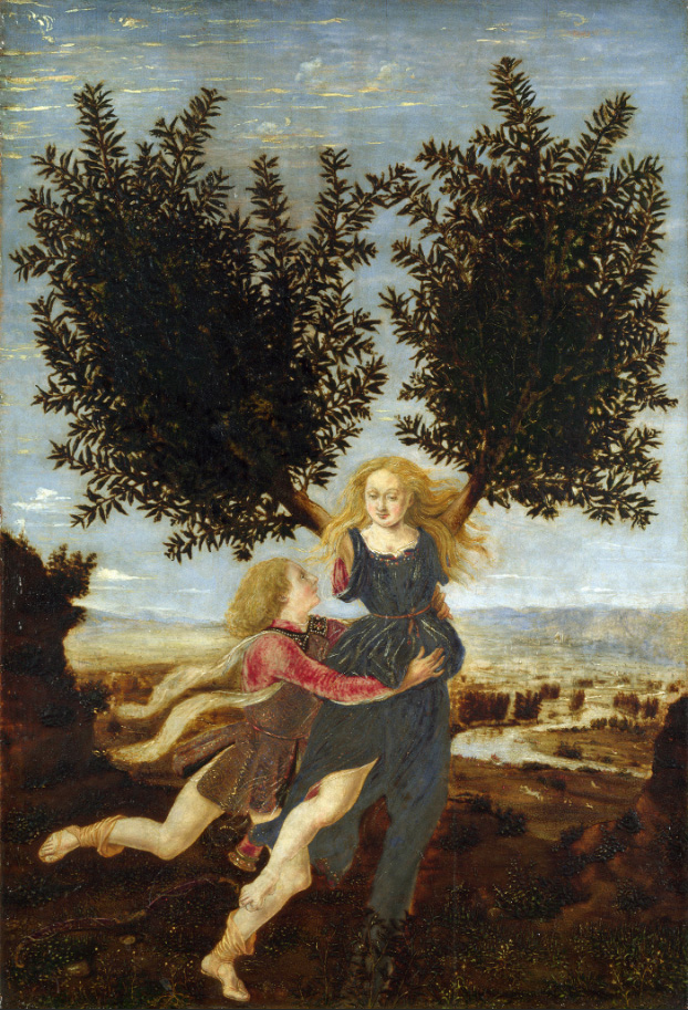 apollo and daphne